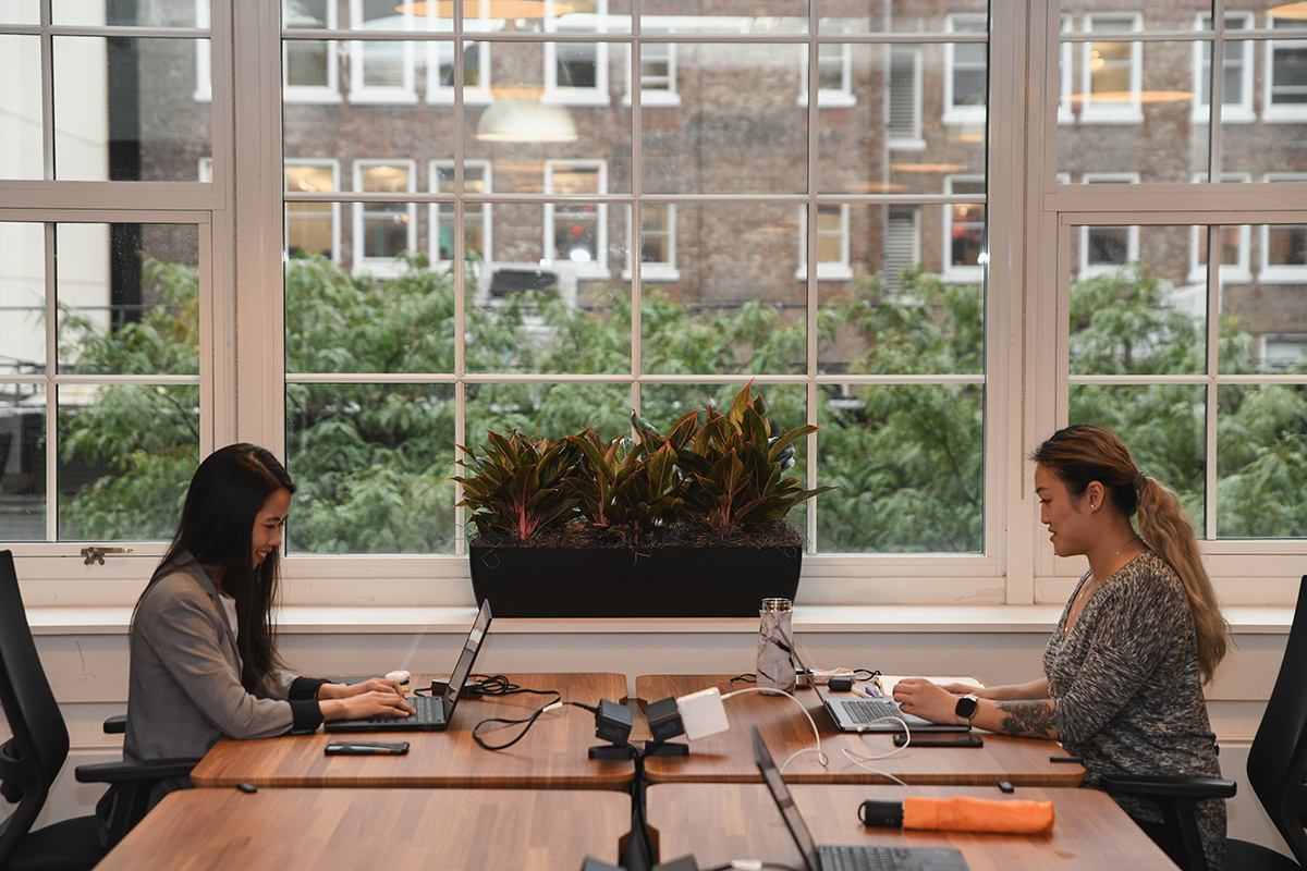 Two female employees working on laptops at a table in the office