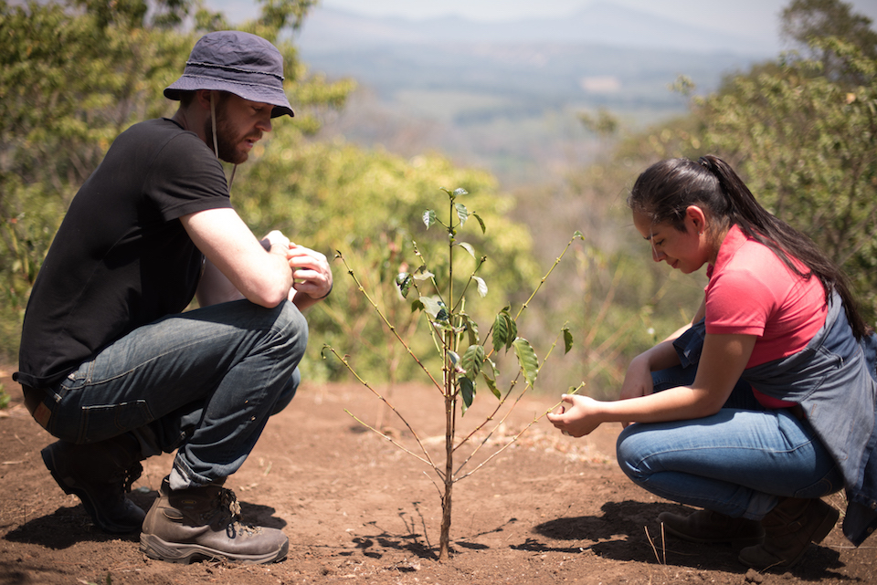 scott tupper ivonne herrera onda origins on guatemalan coffee farm onda origins