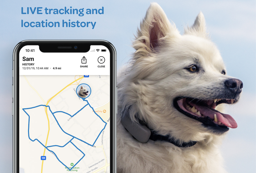 Tractive device and app screenshot