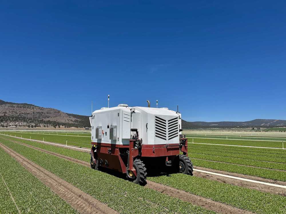 Carbon Robotics’ Autonomous Weeder robot in a field.
