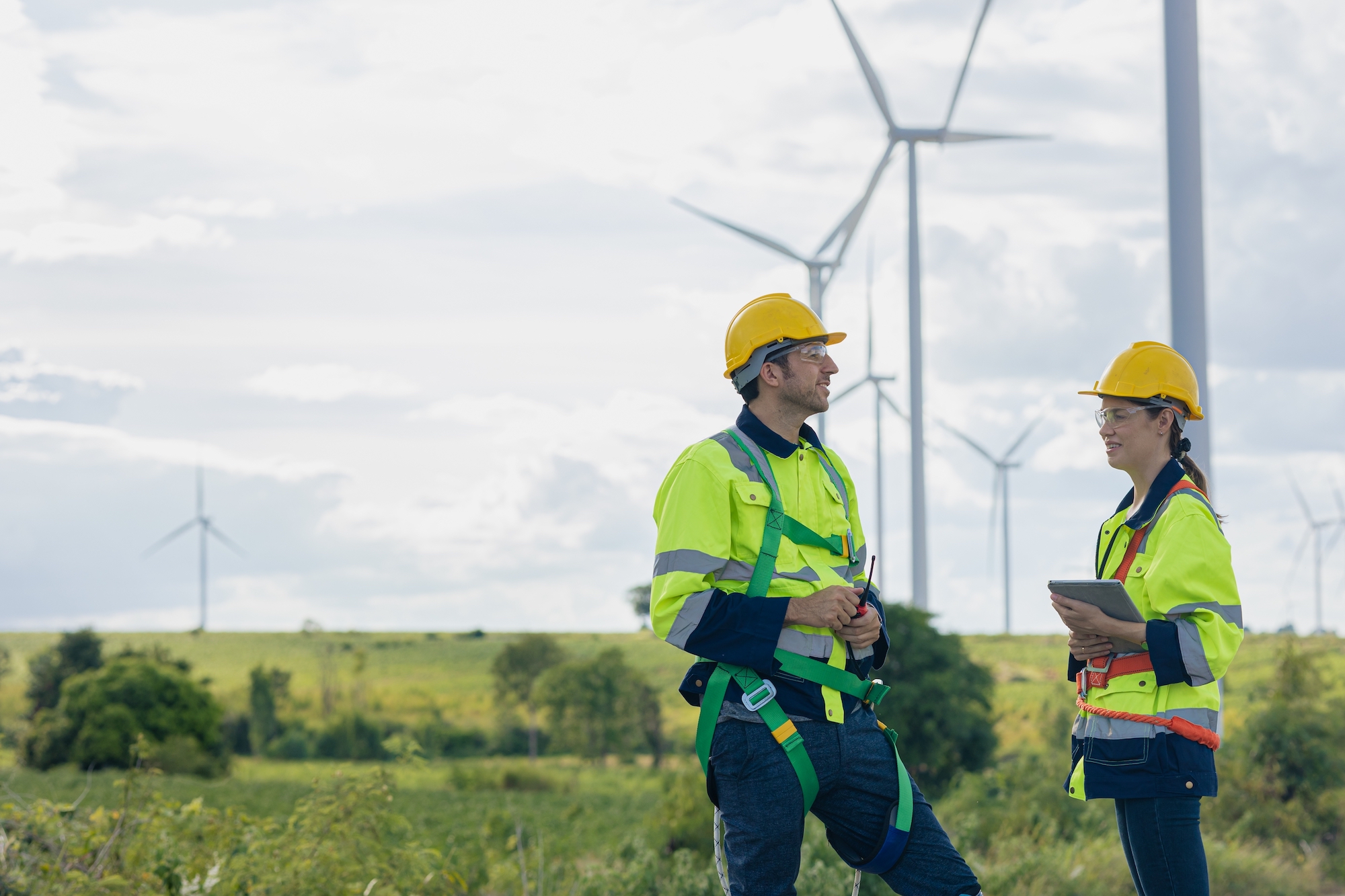 Two workers stand in front of windmills.
