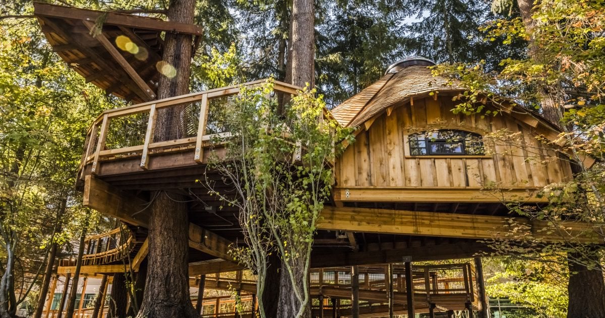 microsoft headquarters treehouse redmond