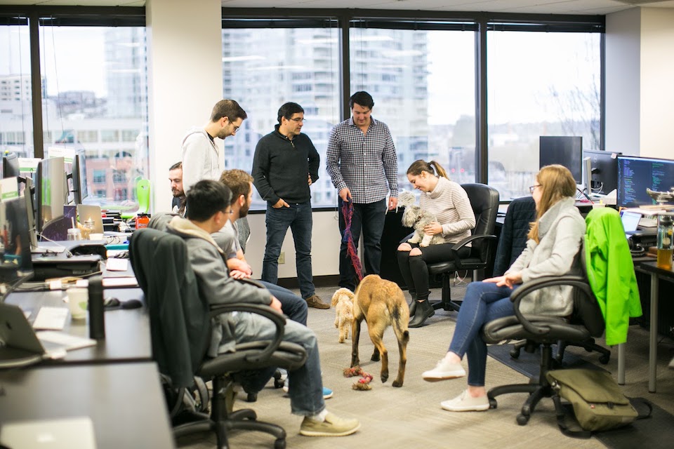 rover dog-friendly office