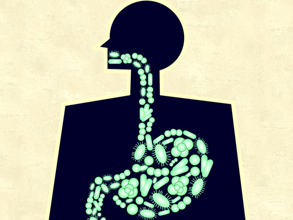 Viome gut health illustration