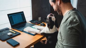 A man works from home with his dog.