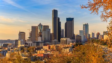 Seattle downtown skyline at sunset in the fall with yellow foliage in the foreground.