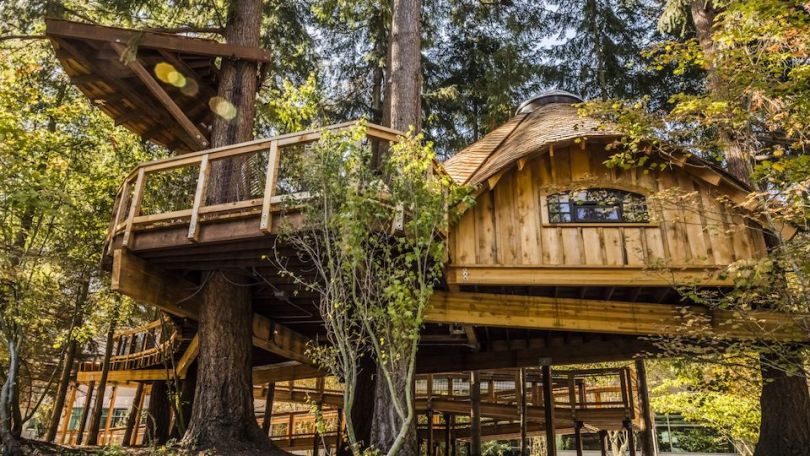 Microsoft Treehouses Redmond 캠퍼스