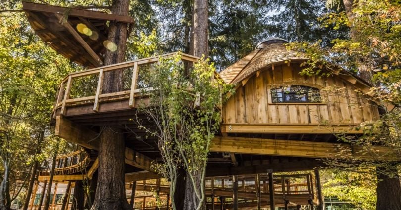 microsoft headquarters treehouse redmond